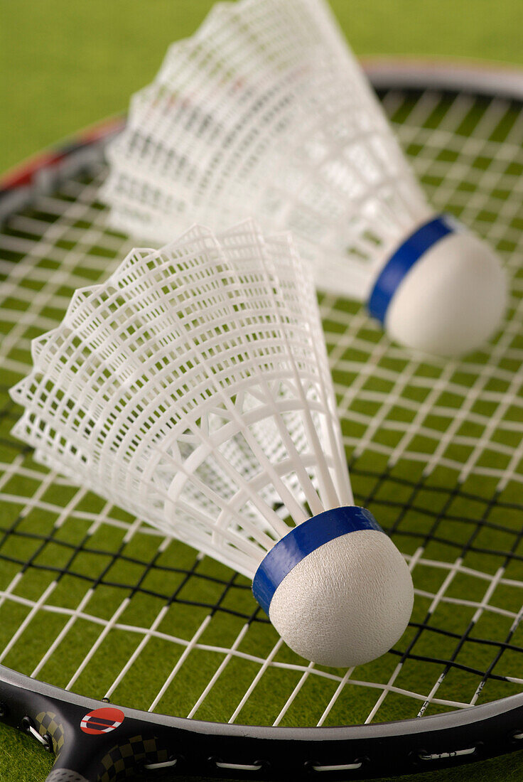 Two Badminton Birdies on Racquet