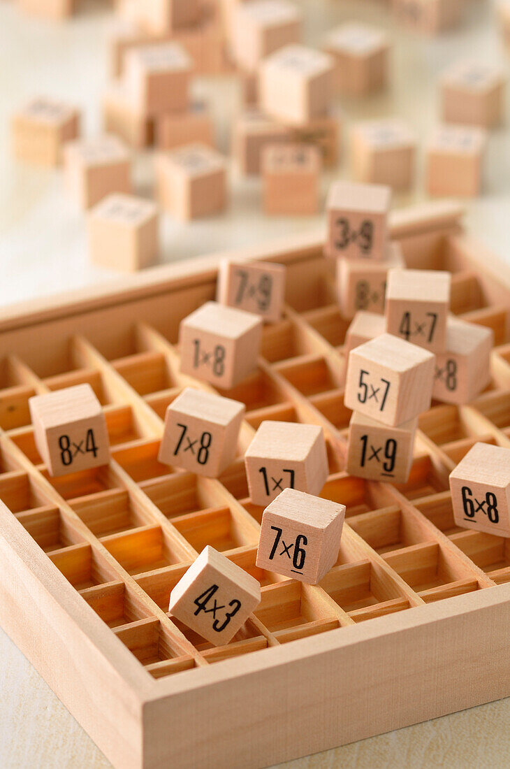 Multiplication Blocks and Board