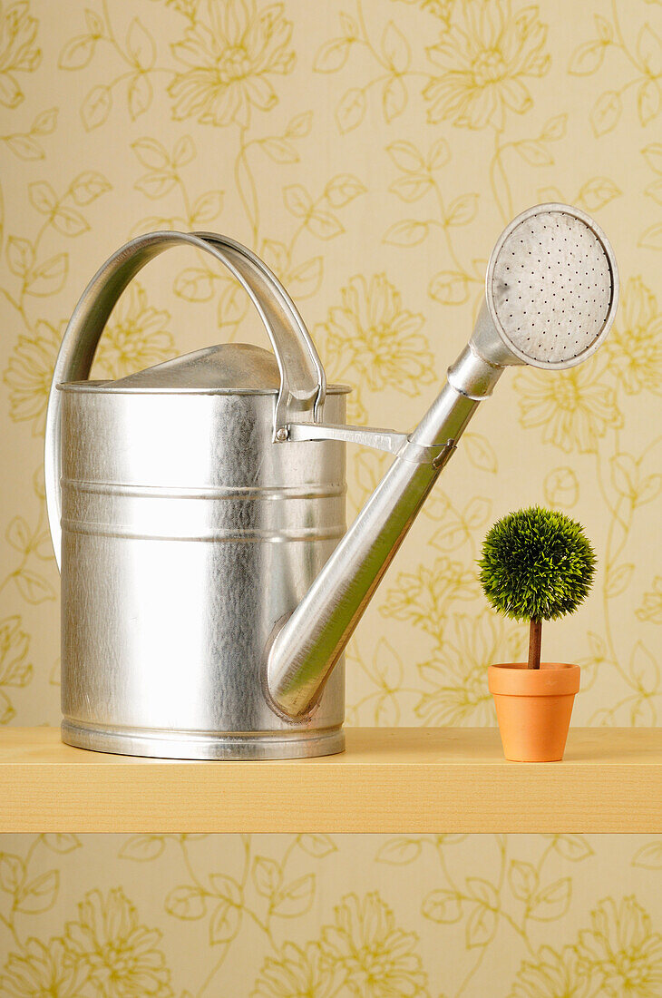 Watering Can and Plant