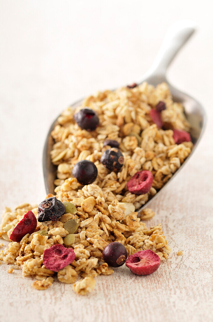 Scoop of Cereal with Dried Fruit