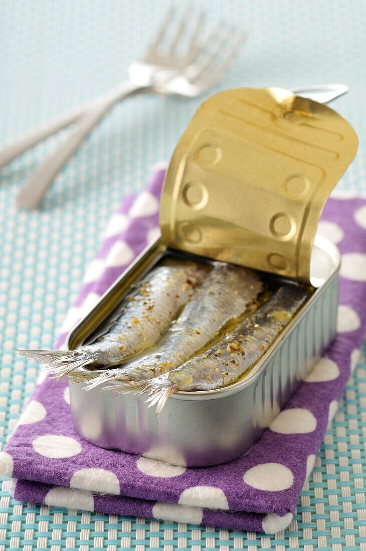 Sardines