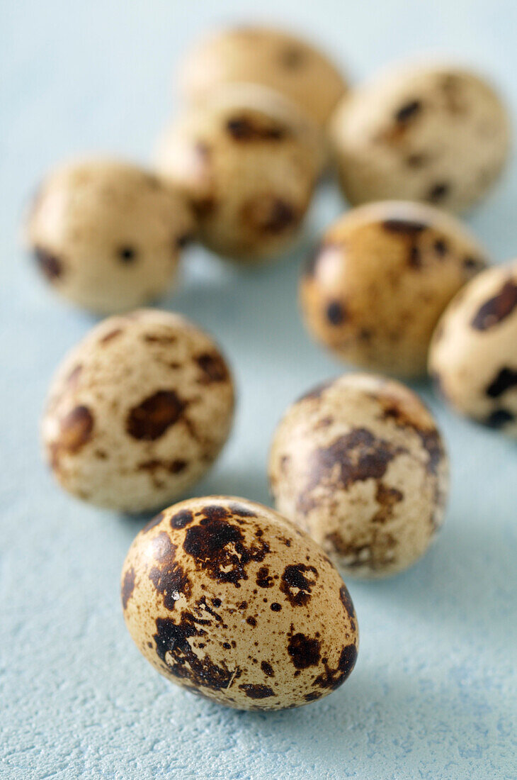 Close-up of Quail Eggs