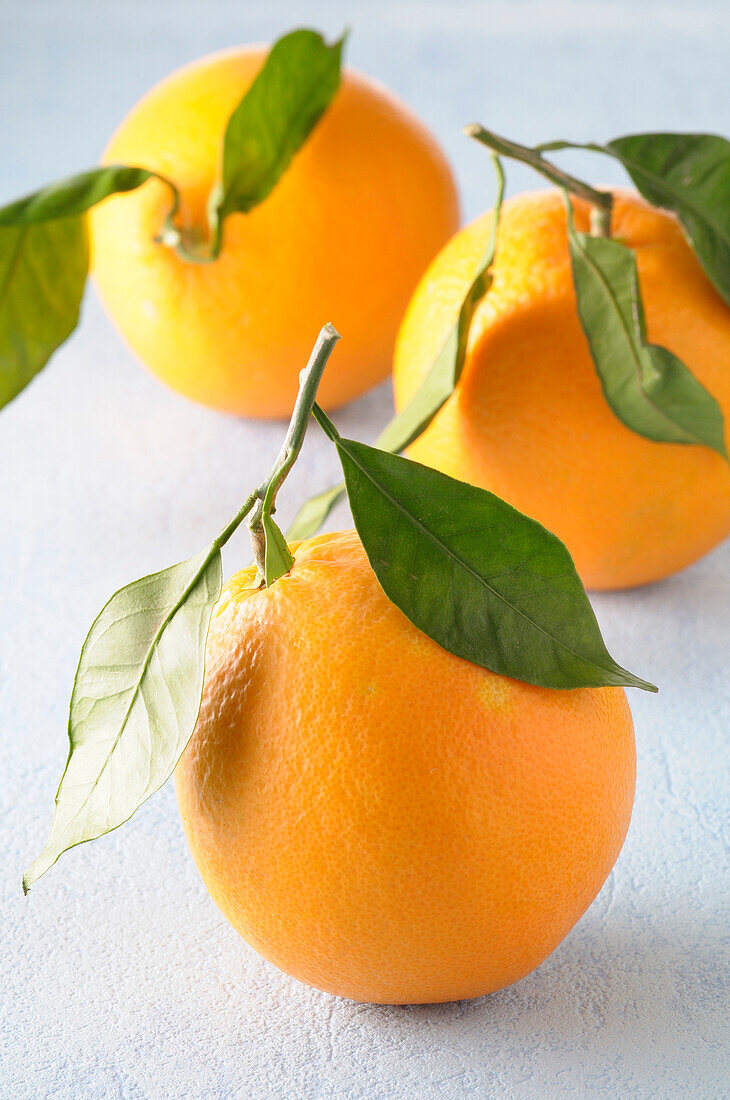 Nahaufnahme von drei Orangen mit Stielen und Blättern auf blauem Hintergrund, Studioaufnahme