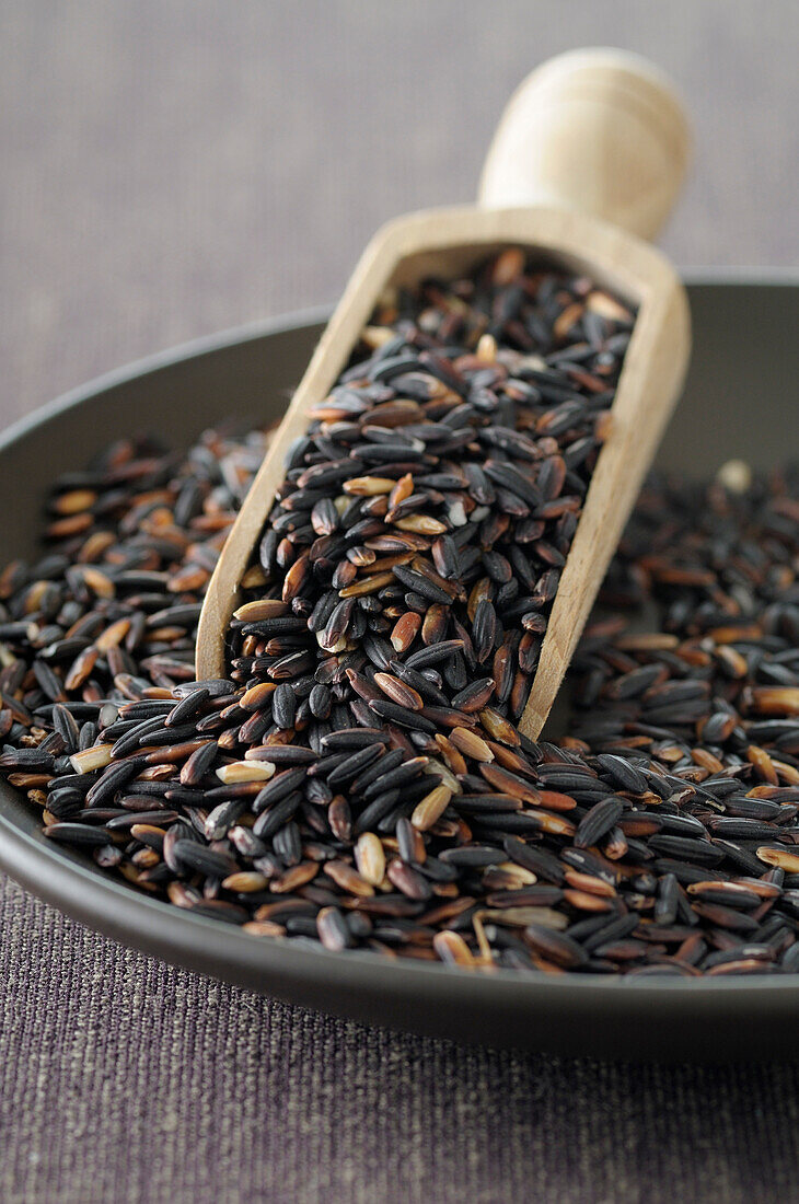 Close-up of Bowl of Black Rice with Scoop,Studio Shot