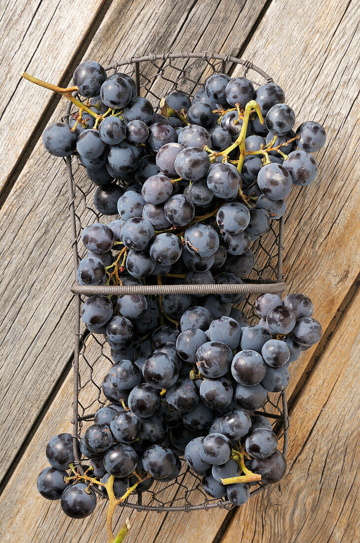 Weintrauben im Drahtkorb auf hölzernem Hintergrund, Studioaufnahme