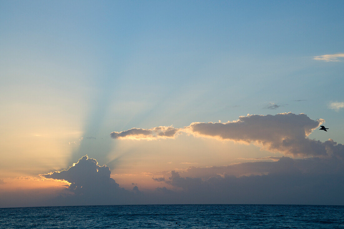 Reef Playacar Resort and Spa Hotel,Playa del Carmen,Quintana Roo,Yucatan Peninsula,Mexico