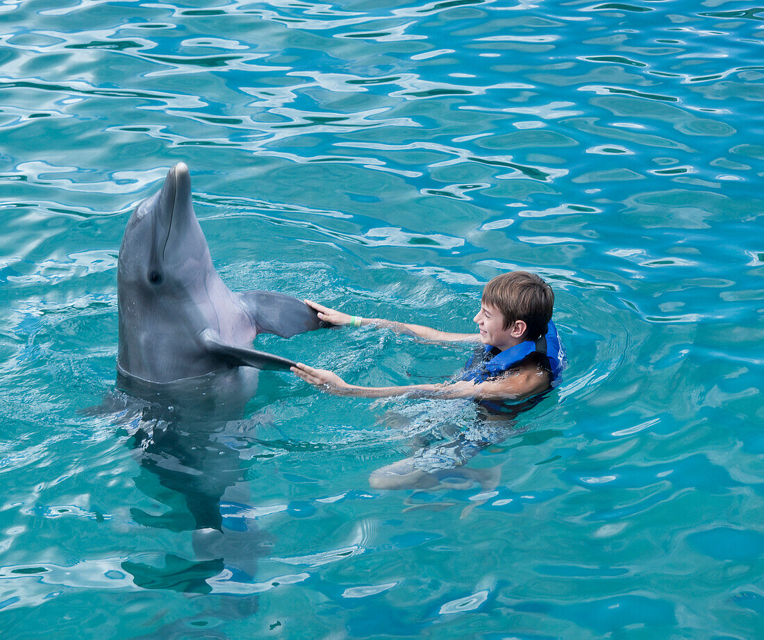 Swimming with Dolphin,Mexico