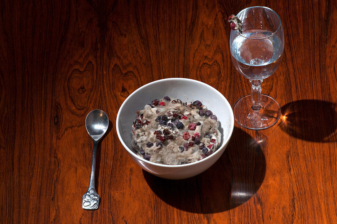 Bowl of Moldy Cereal