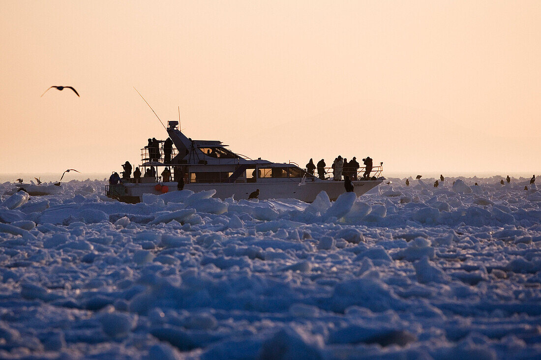 Eco-Tourists Photographing Eagles from Boat,Nemuro Channel,Rausu,Hokkaido,Japan