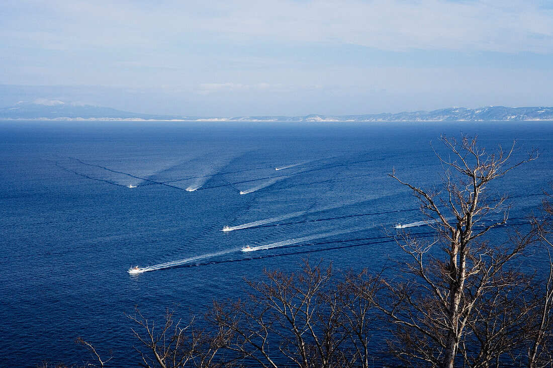 Fischereiflotte, Rausu, Shiretoko-Halbinsel, Hokkaido, Japan