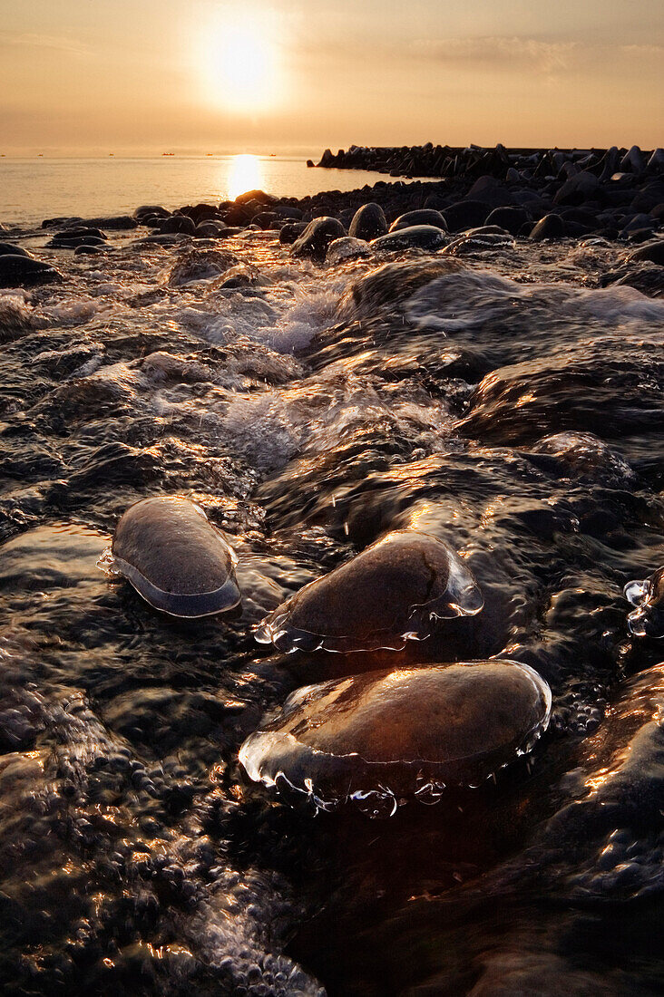 Shoreline,Shiretoko Peninsula,Hokkaido,Japan