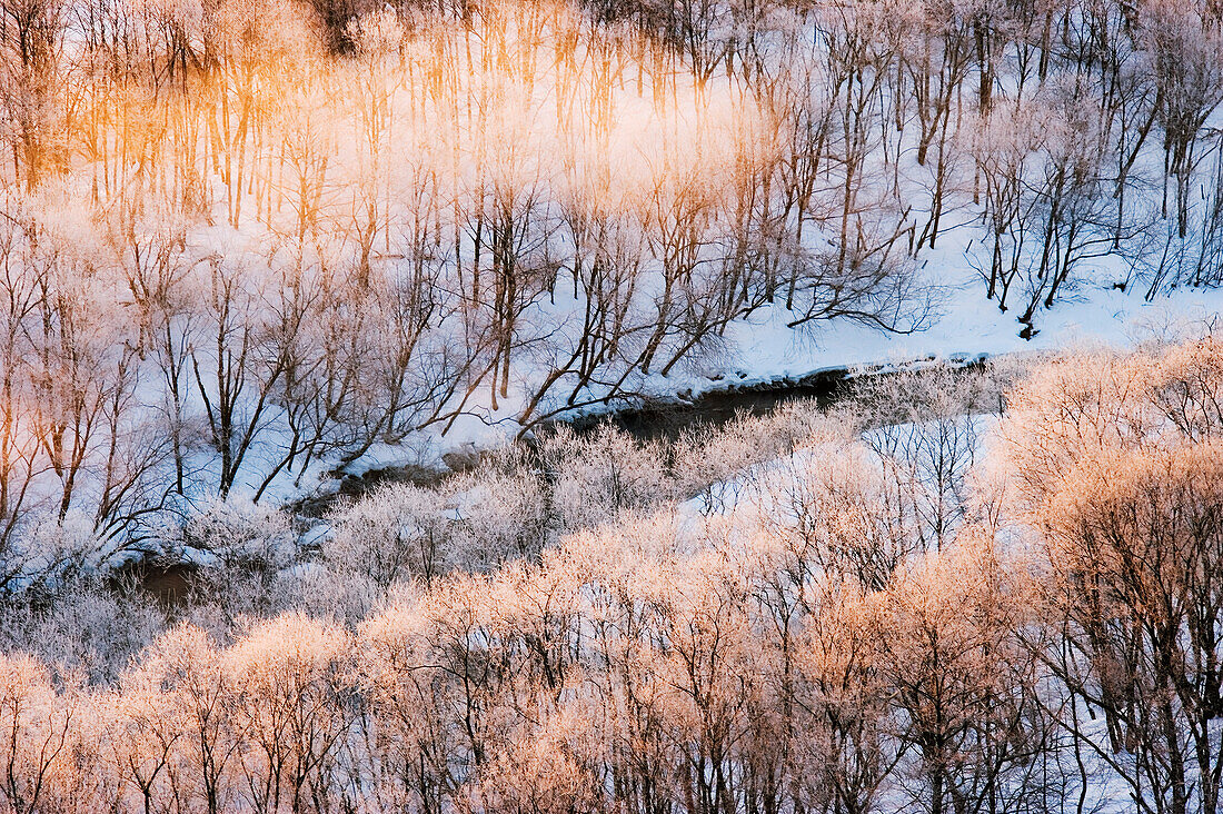 Fluss in Hokkaido, Japan