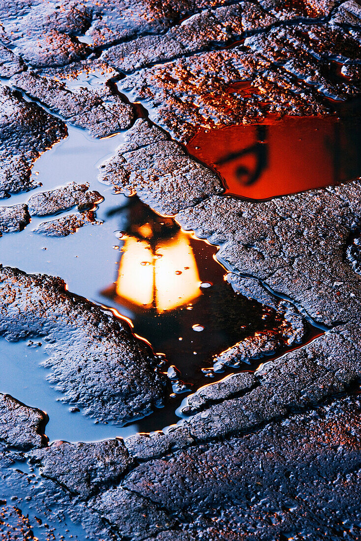 Reflection in Puddle