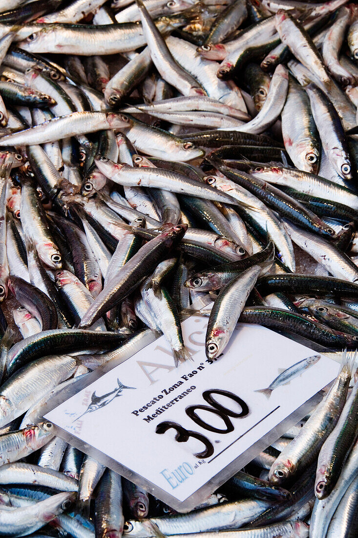Frischer Fisch auf dem Markt, Rialto-Markt, Venedig, Venetien, Italien