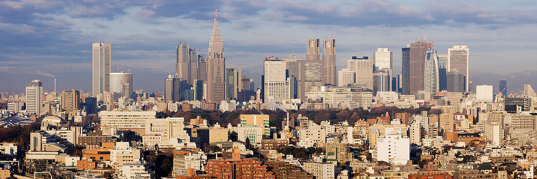 Stadtsilhouette,Bezirk Shinjuku,Tokio,Japan