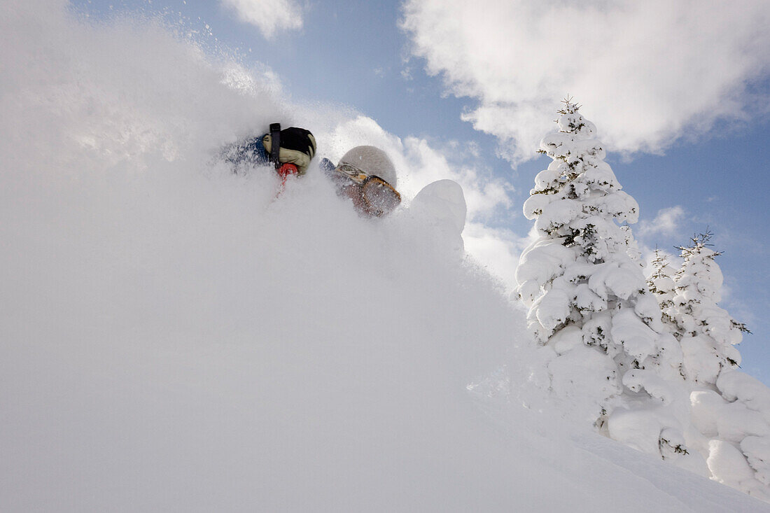 Telemark Skiing,Furano,Hokkaido,Japan