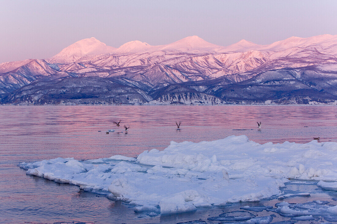 Eisscholle und aufgehende Sonne, Nemuro-Kanal, Shiretoko-Halbinsel, Hokkaido, Japan