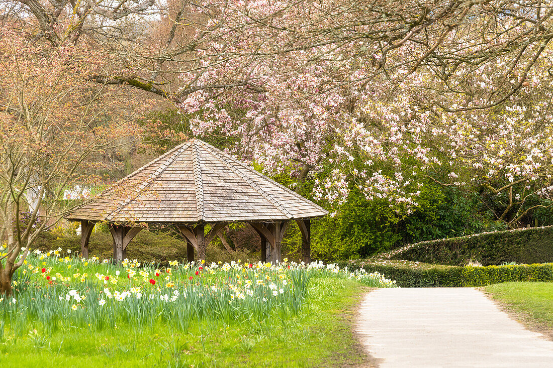 Frühling in den Gärten von Hever Castle, Kent, England, Vereinigtes Königreich, Europa