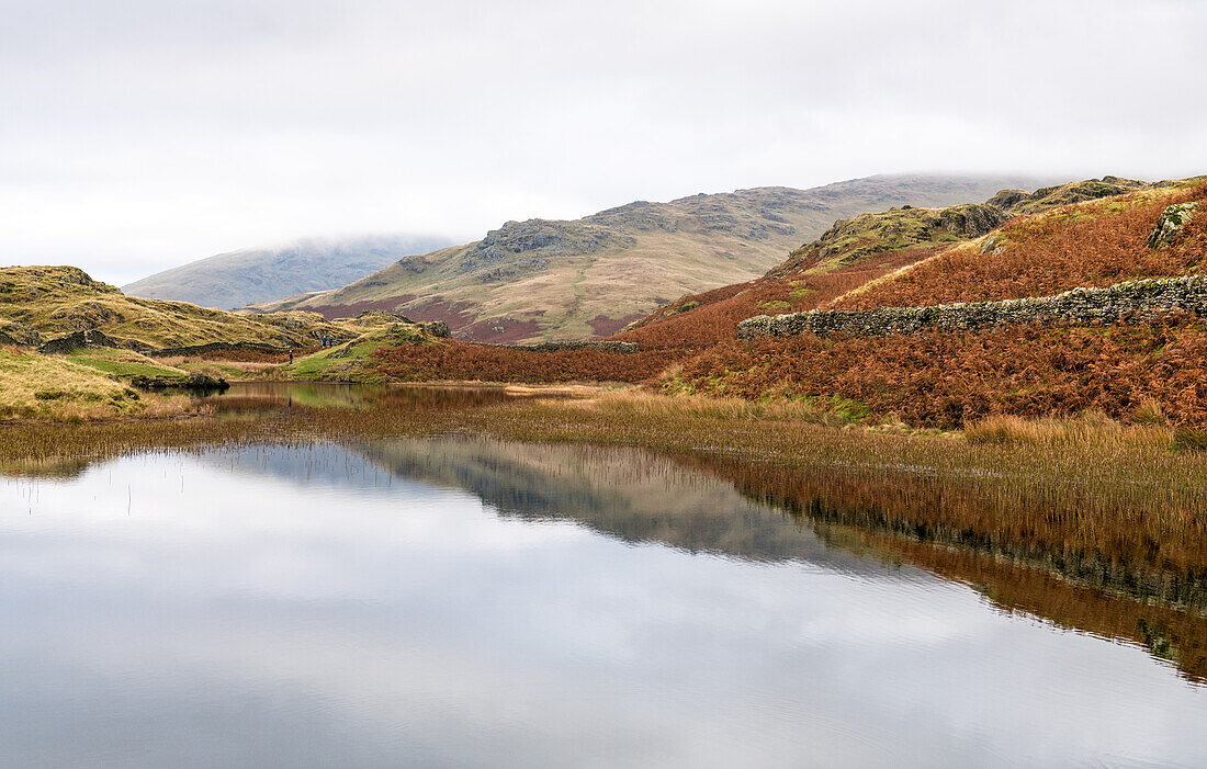 Alcock Tarn,near Grasmere,Lake District National Park,UNESCO Welterbe,Cumbria,England,Vereinigtes Königreich,Europa