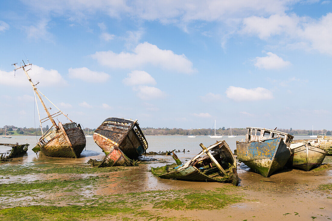 Boat graveyard in Pin Mill,Ipswich,Suffolk,England,United Kingdom,Europe