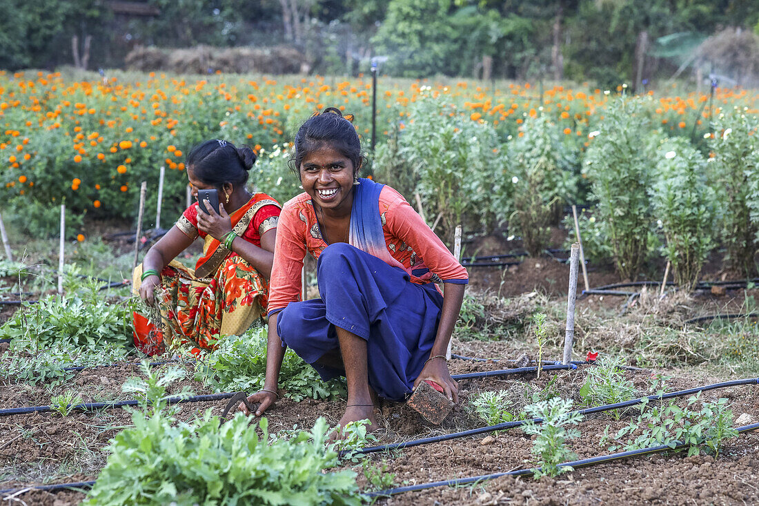 Gärtner bei der Arbeit in einem der Gärten des Ökodorfs Goverdan, Maharashtra, Indien, Asien