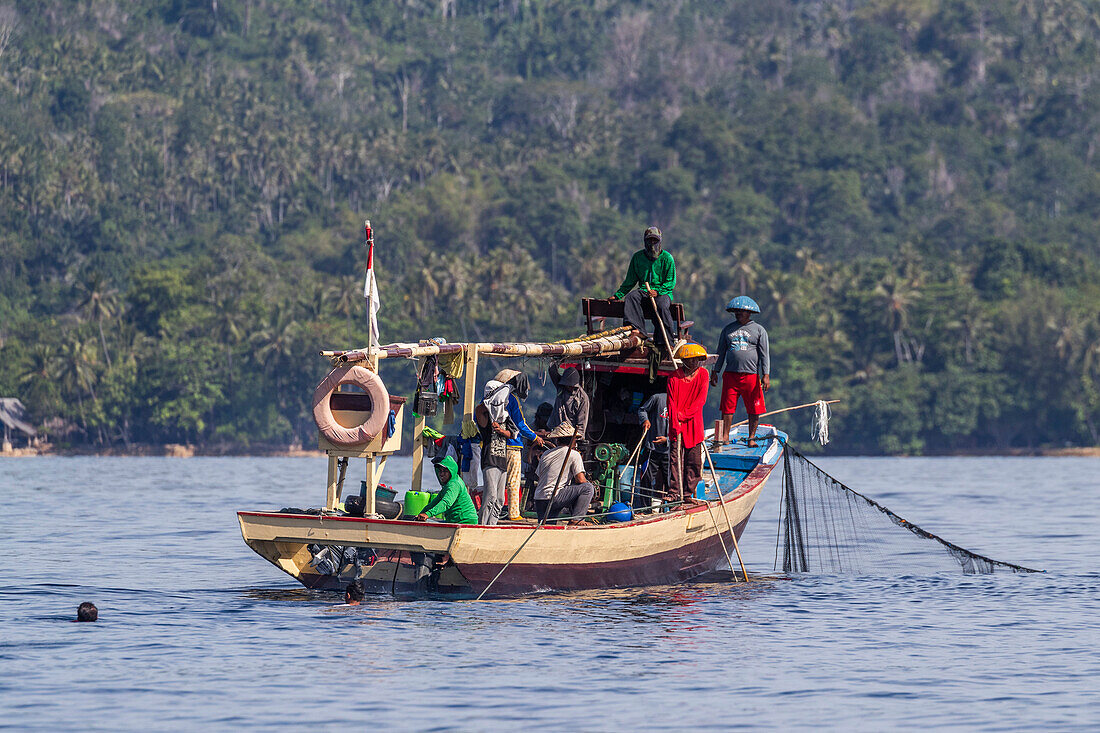 Tuna fisherman retrieving a purse-seine net,Bangka Island,off the northeastern tip of Sulawesi,Indonesia,Southeast Asia,Asia