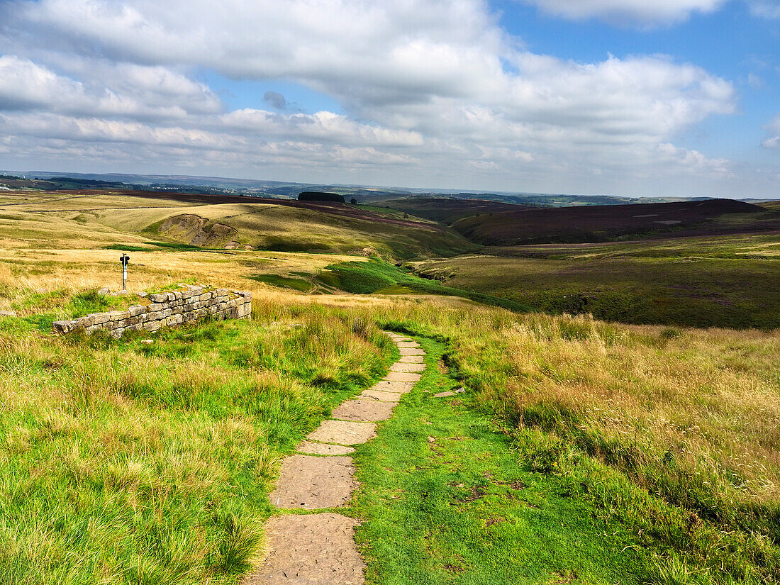 Path across Haworth Moor,Yorkshire,England,United Kingdom,Europe