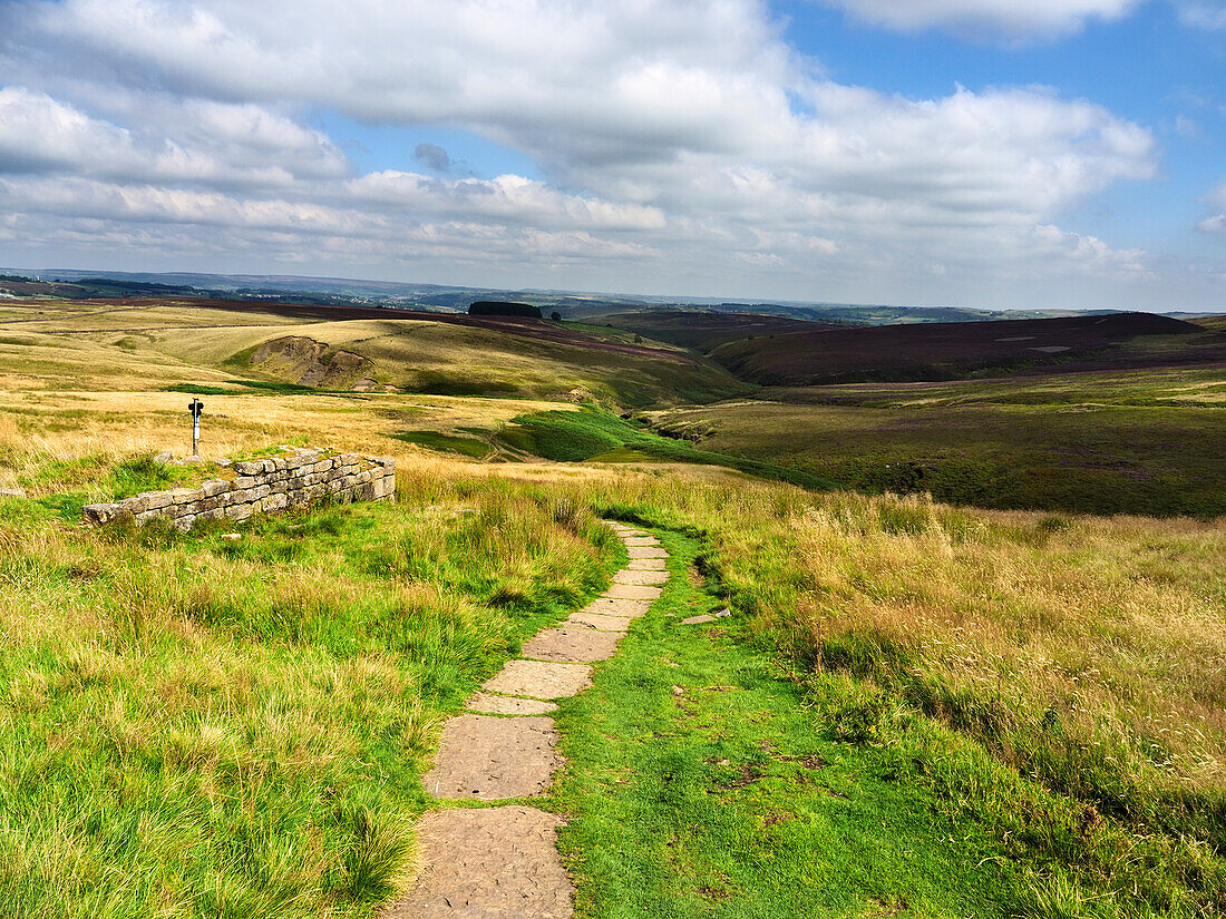 Pfad über Haworth Moor,Yorkshire,England,Vereinigtes Königreich,Europa