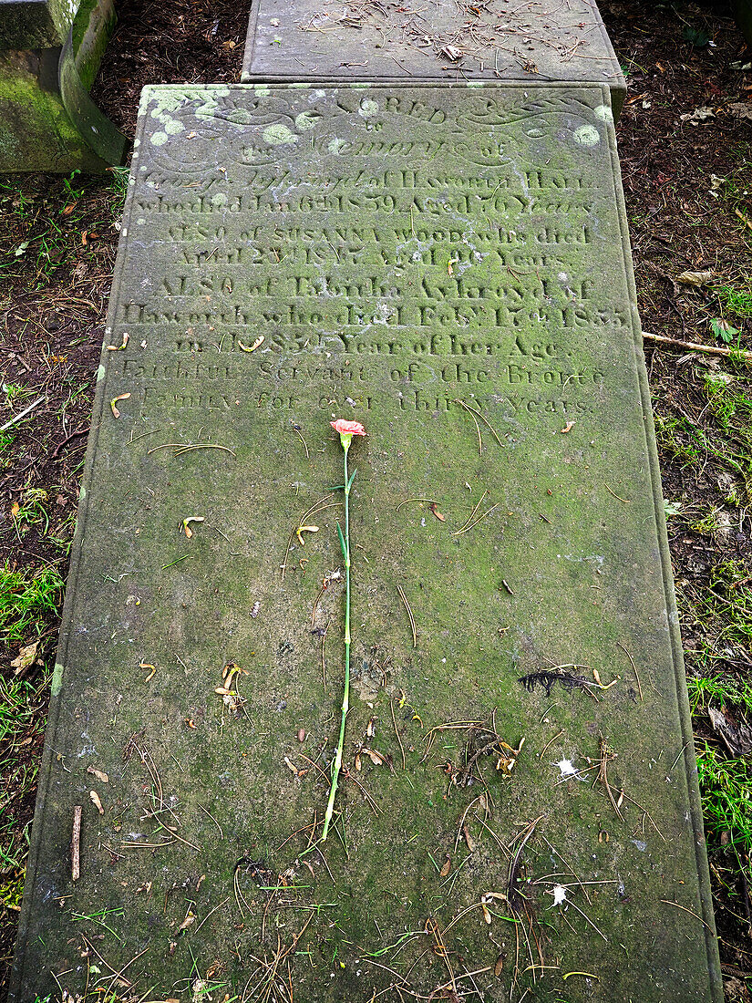 Tabbys Grab auf dem Kirchhof von Haworth, Haworth, Yorkshire, England, Vereinigtes Königreich, Europa