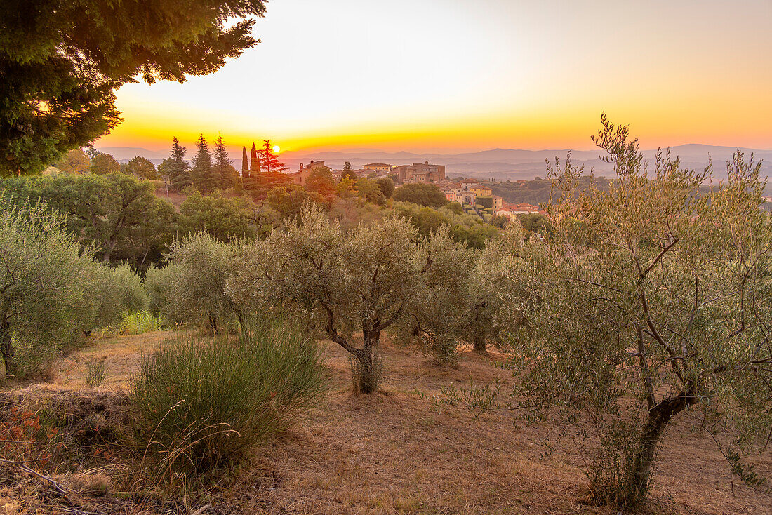 View of sunrise over Chianciano Terme,Province of Siena,Tuscany,Italy,Europe