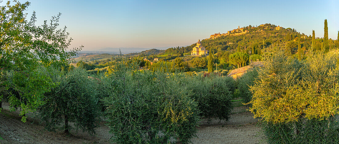 Blick auf die mittelalterliche Hügelstadt Montepulciano, Montepulciano, Provinz Siena, Toskana, Italien, Europa