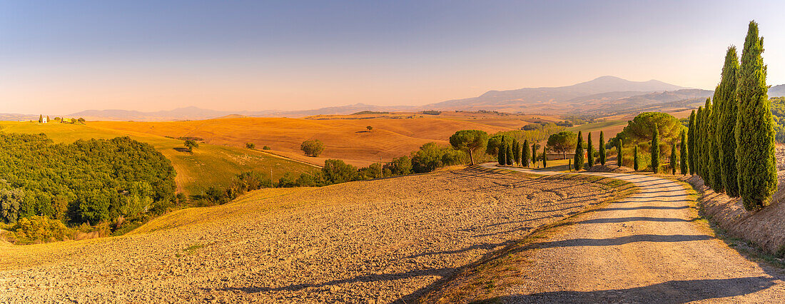 Blick auf Zypressen und Landschaft im Val d'Orcia bei San Quirico d' Orcia, UNESCO-Weltkulturerbe, Provinz Siena, Toskana, Italien, Europa