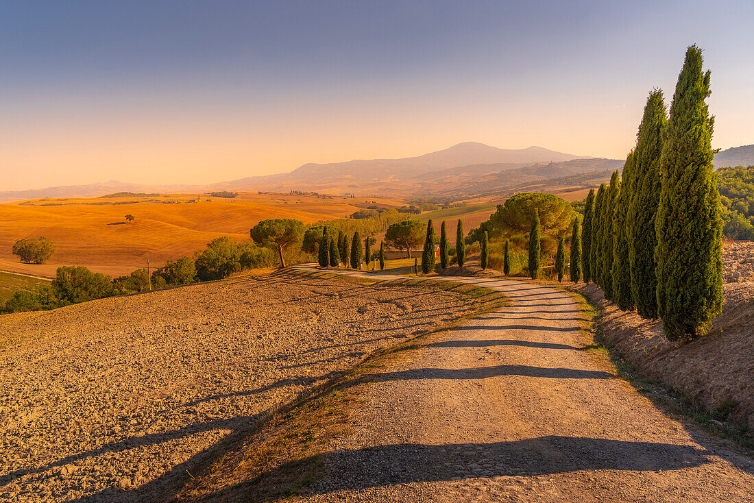 View of cypress trees and landscape in the Val d' Orcia near San Quirico d'Orcia,UNESCO World Heritage Site,province of Siena,Tuscany,Italy,Europe