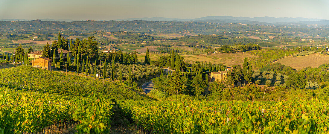 Blick auf das Schloss und die Weinberge bei San Gimignano, San Gimignano, Provinz Siena, Toskana, Italien, Europa