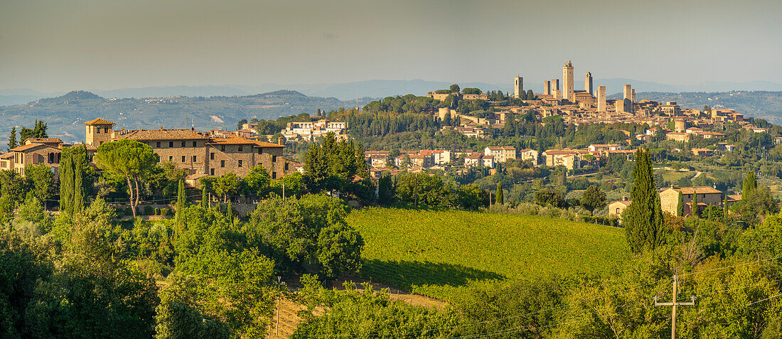 Blick auf Weinberge und die Skyline von San Gimignano, San Gimignano, Provinz Siena, Toskana, Italien, Europa