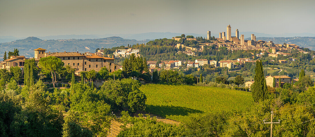 View of vineyards and San Gimignano skyline,San Gimignano,Province of Siena,Tuscany,Italy,Europe