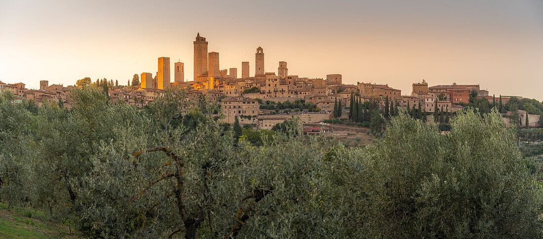 Blick auf die Skyline von San Gimignano bei Sonnenuntergang, San Gimignano, Provinz Siena, Toskana, Italien, Europa