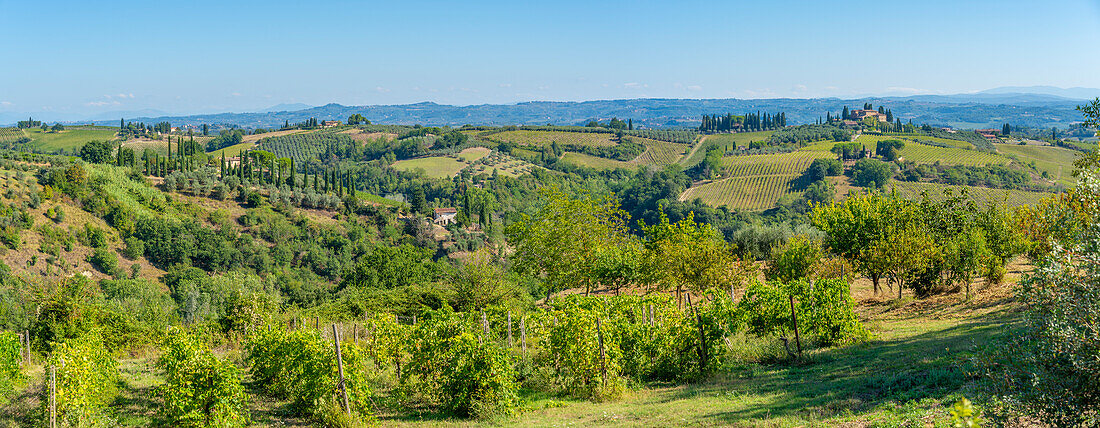 View of vineyards and landscape near San Gimignano,San Gimignano,Province of Siena,Tuscany,Italy,Europe