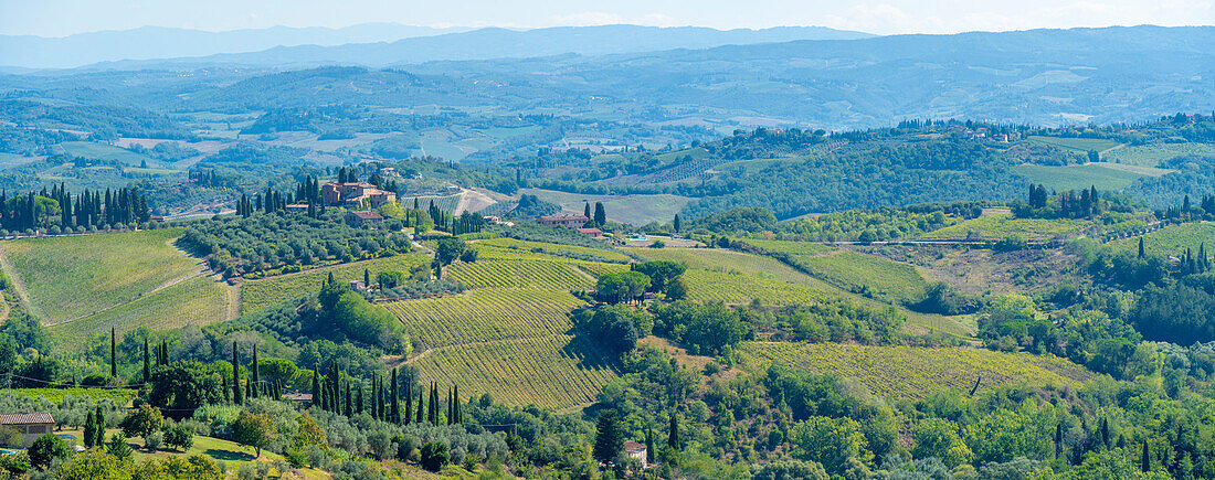 Blick auf Weinberge und Landschaft bei San Gimignano, San Gimignano, Provinz Siena, Toskana, Italien, Europa