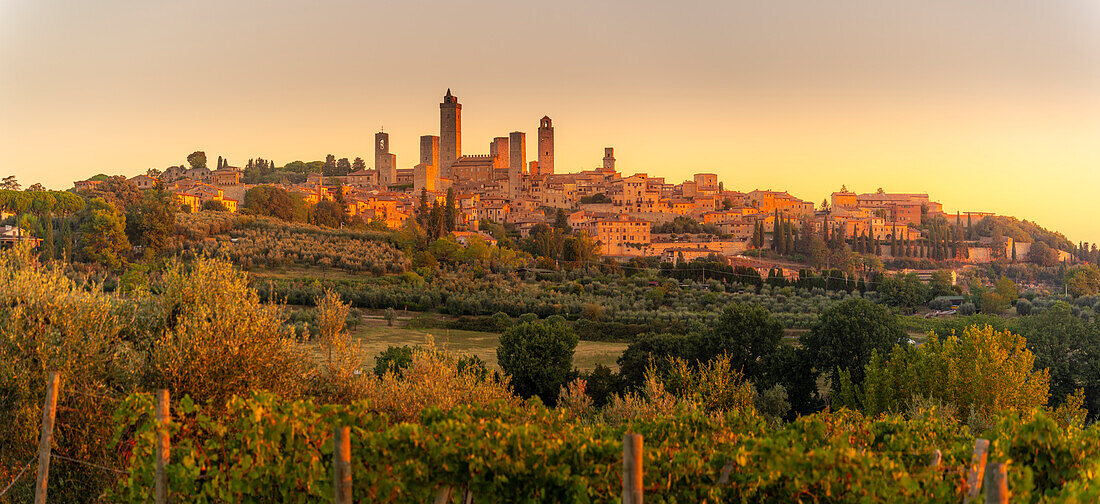 Blick auf Weinberge und San Gimignano bei Sonnenaufgang, San Gimignano, Provinz Siena, Toskana, Italien, Europa