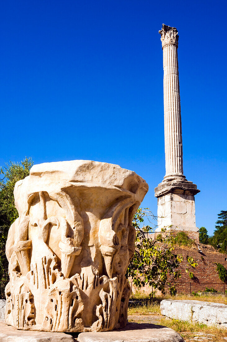 Corinthian capital and Column of Phocas,Roman Forum,UNESCO World Heritage Site,Rome,Latium (Lazio),Italy,Europe