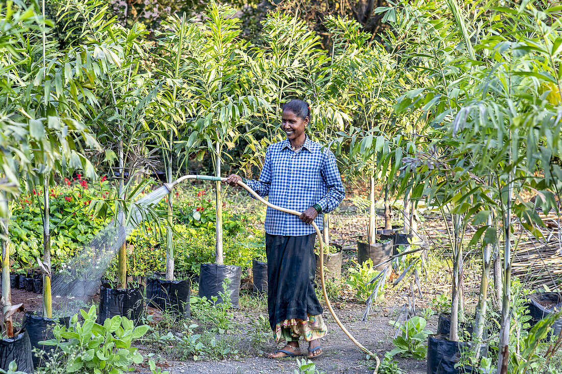 Gärtner bewässert einen der Gärten im Ökodorf Goverdan, Maharashtra, Indien, Asien