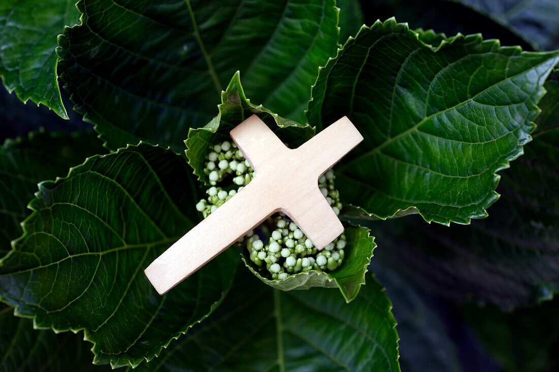 Religiöses Gebetssymbol in der Natur, christliches Kreuz auf grünen Blättern, Vietnam, Indochina, Südostasien, Asien