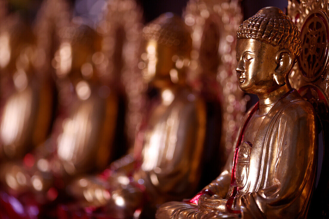 Holzstatue von Siddhartha Gautama (dem Buddha), Van Hanh Zen Buddhist Monastery, Dalat, Vietnam, Indochina, Südostasien, Asien
