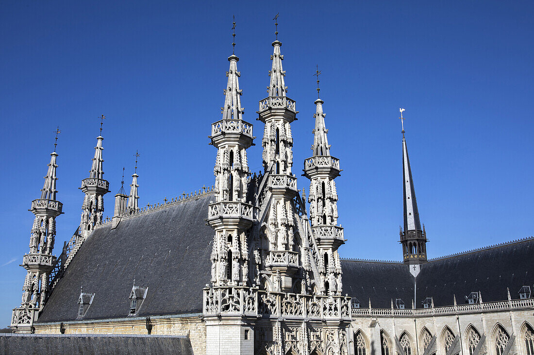 Saint Peter Collegiate Church,Leuven,Flanders,Belgium,Europe