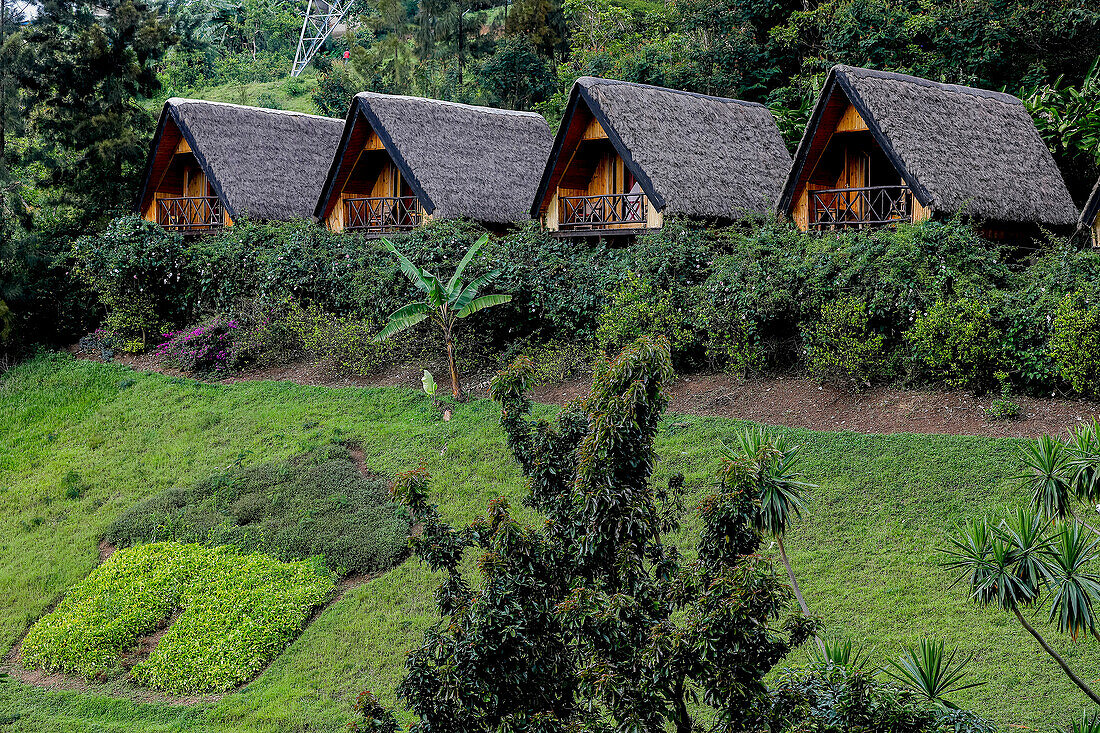 Hotel bungalows,Karongi,Rwanda,Africa