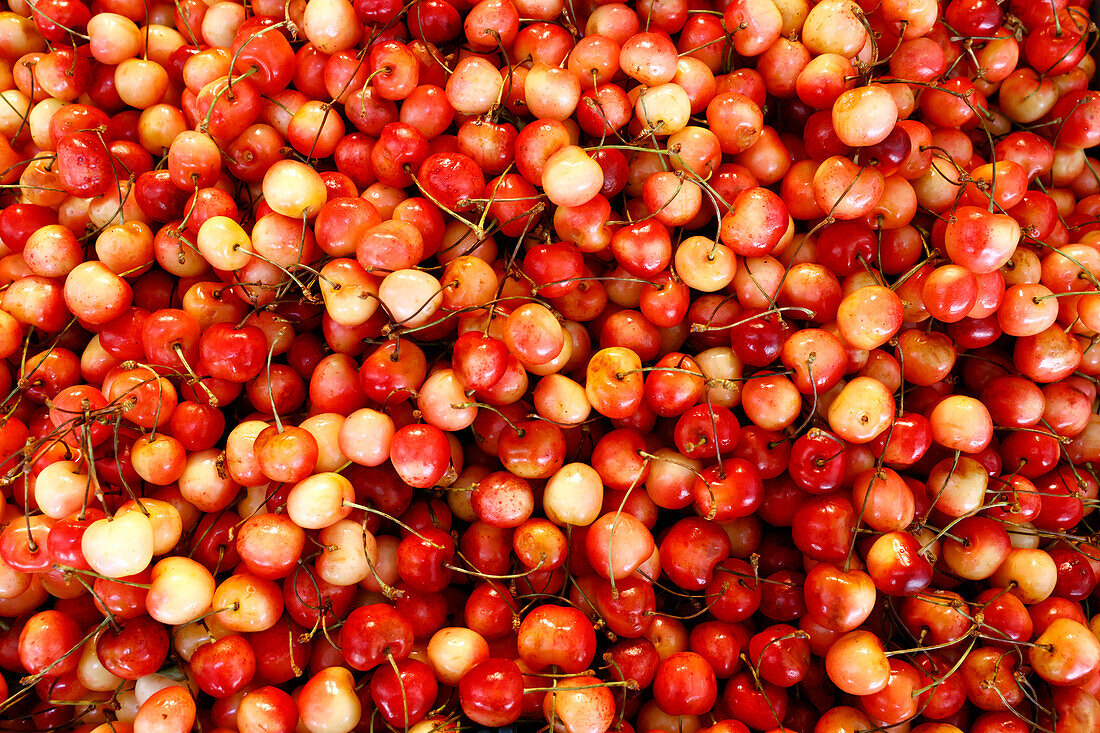 Fresh cherries for sale,Historical Bolhao Market,Porto,Portugal,Europe