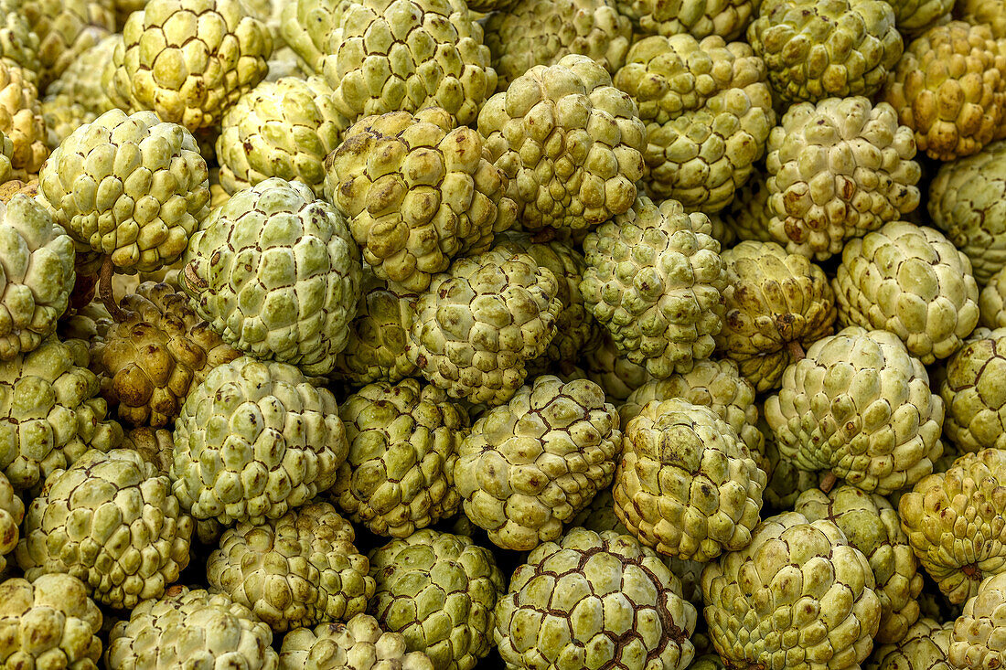 Custard apples sold in Mumbai,India,Asia