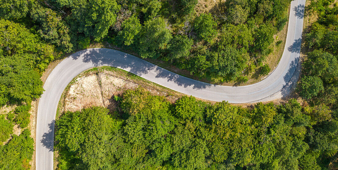 Elevated view of road snaking through trees near Borello,Emilia Romagna,Italy,Europe