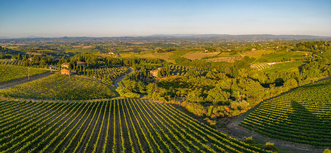 Blick von oben auf die Weinberge bei San Gimignano bei Sonnenaufgang,San Gimignano,Toskana,Italien,Europa